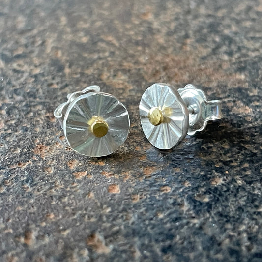 Sterling Silver and Gold Earstuds