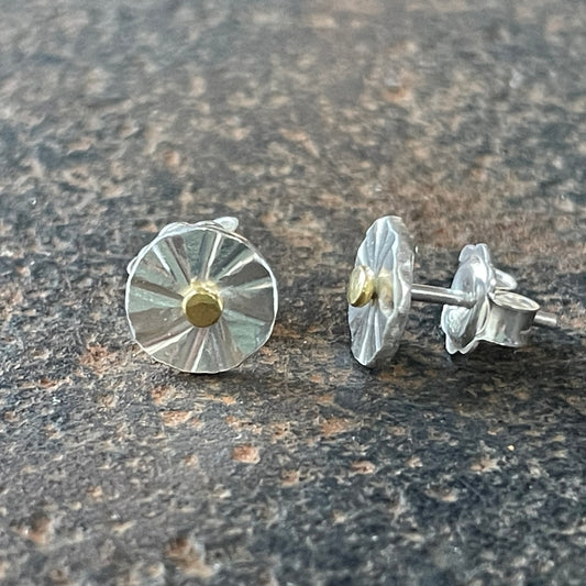 Sterling Silver and Gold Earstuds